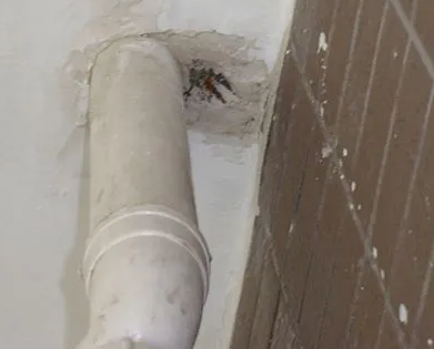 安顺市漏水检测哪家好